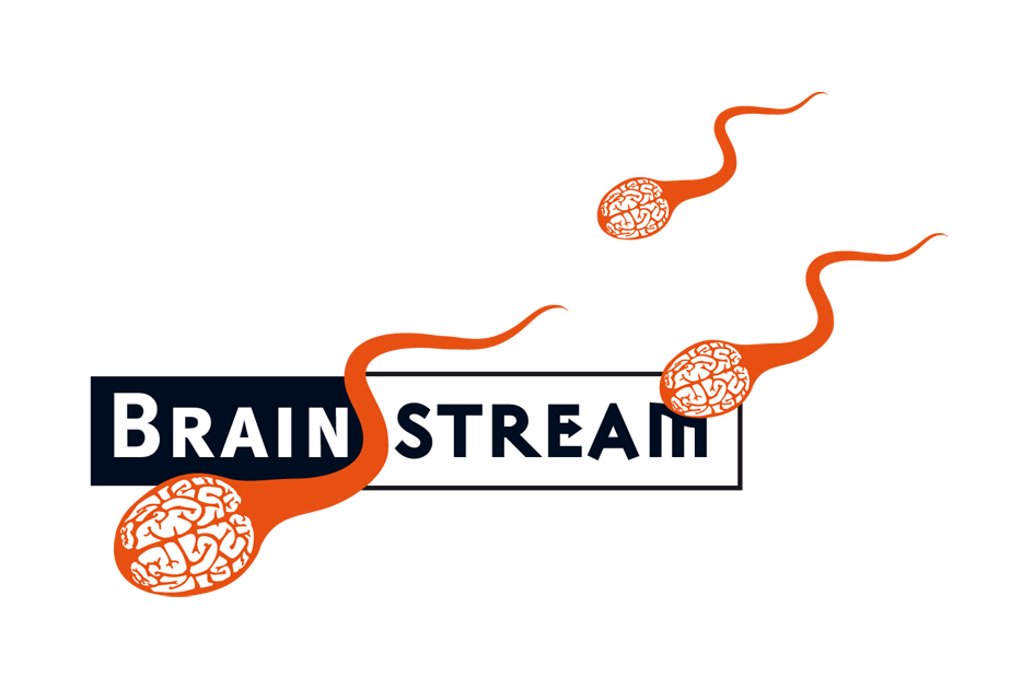 Logo firmy Brainstream