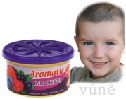 Vůně do auta Aromatic | lesní ovoce