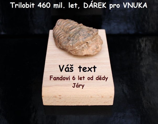 Trilobit pravěká fosílie DÁREK s VĚNOVÁNÍM pro VNUKA