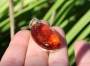 Jantarový přívěšek ve stříbře 3,7 cm dárky