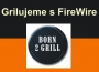 Grilování s FireWire grilovací špízem