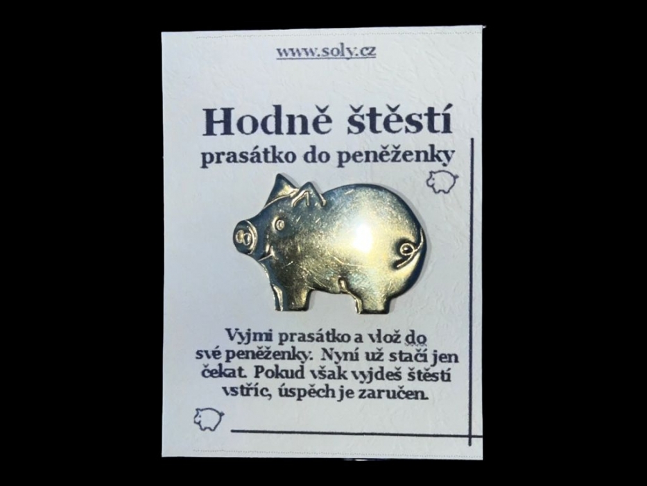 Zlaté prasátko pro štěstí do peněženky