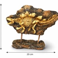 Fosilie dinosaura Stegosaurus dekorace 20 cm
